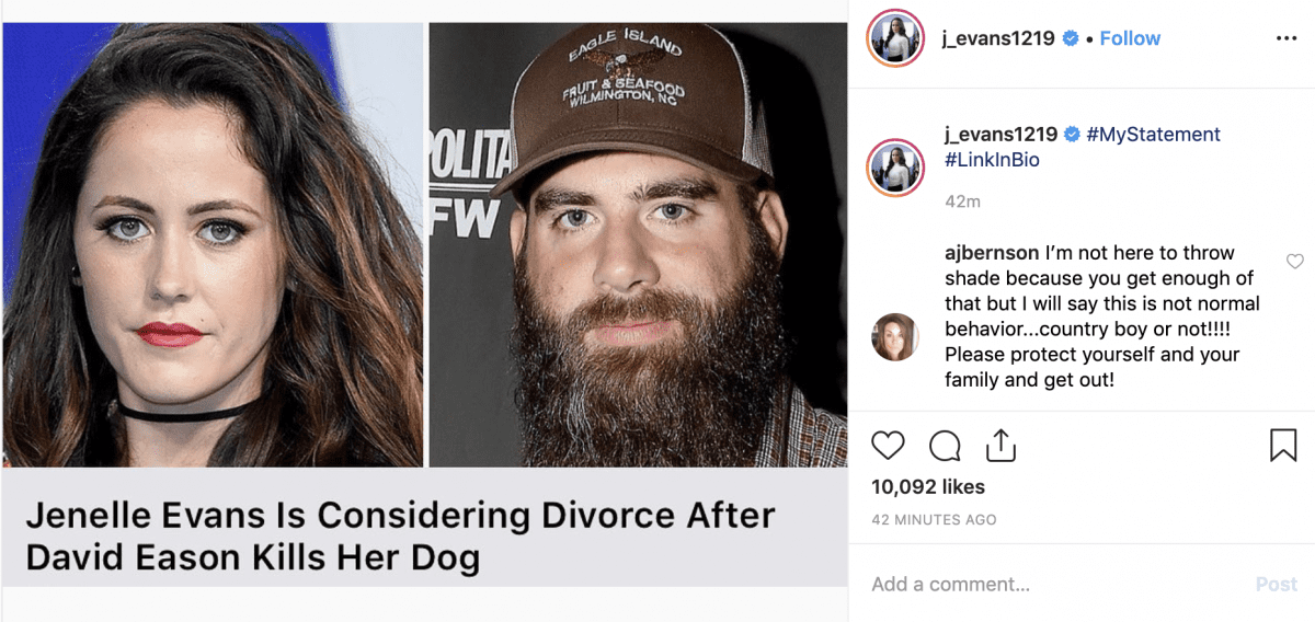 Timeline of Jenelle Evans' Dramatic Year