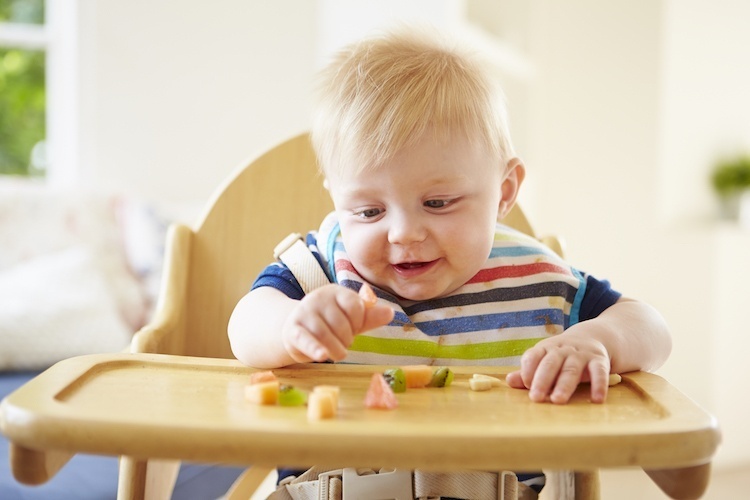 Baby-Led Weaning