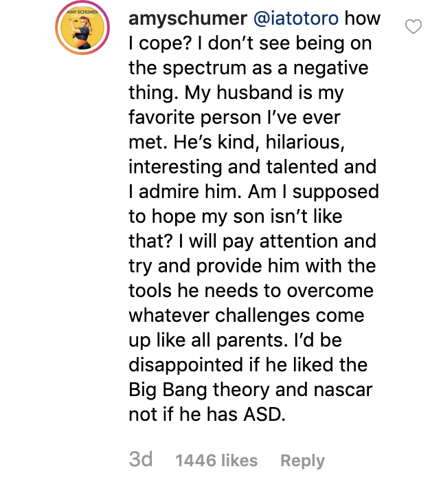 Amy Schumer Had the Perfect Response to Someone Who Asked What She Would Do if Her Son Was Autistic | "I'd be disappointed if he liked 'The Big Bang Theory' and Nascar, not if he has ASD."