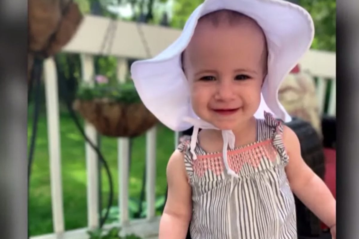 Grandfather of Toddler Chloe Wiegand Who Plummeted to Her Death While on a Cruise Is Charged with Negligent Manslaughter | "The thing that he has repeatedly told us is, 'I believed that there was glass.' He will cry over and over and over. ... She was his best friend."