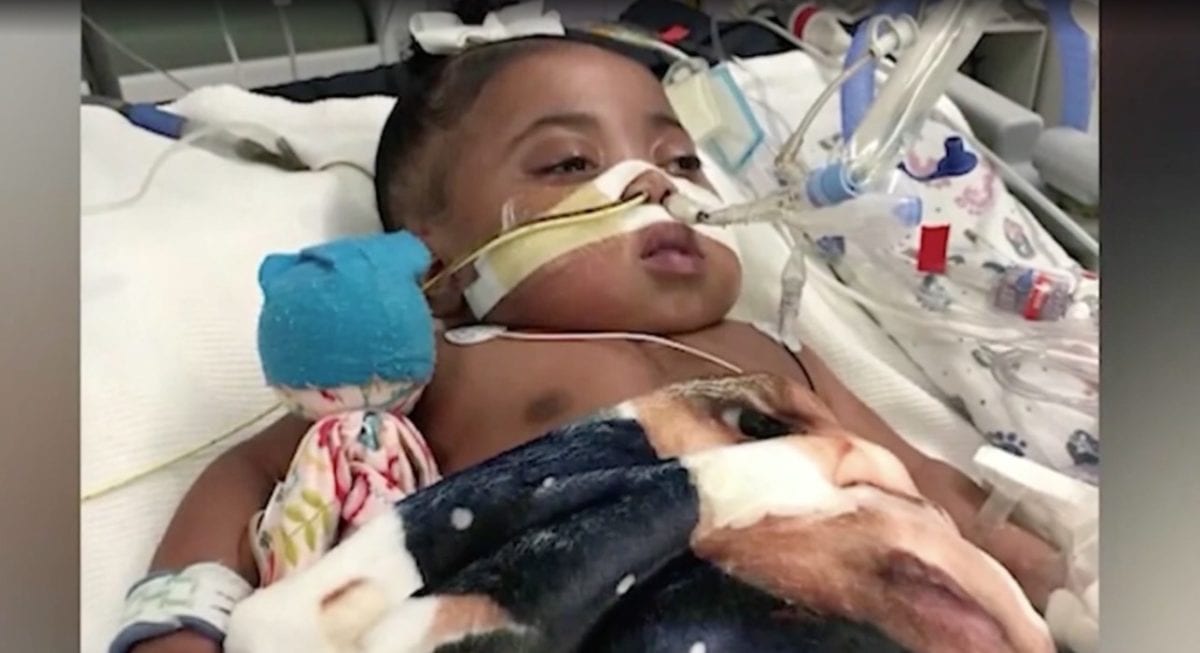 Judge Gives Hospital Permission to Take Child off Life Support After 11 Months Despite Parents Wishes, Parents Keep Fighting