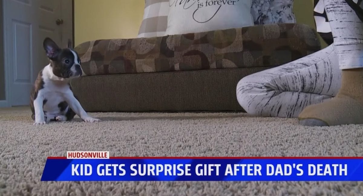 'The Best Gift I’ve Ever Gotten': Late Father Surprises Teen Son With a Puppy for His Birthday Five Days After He Passed Away | Thirteen-year-old Logan Kavaluskis recently lost his father after a nearly decade-long battle with cancer. After an unimaginable loss, Logan received a belated birthday present from his dad.