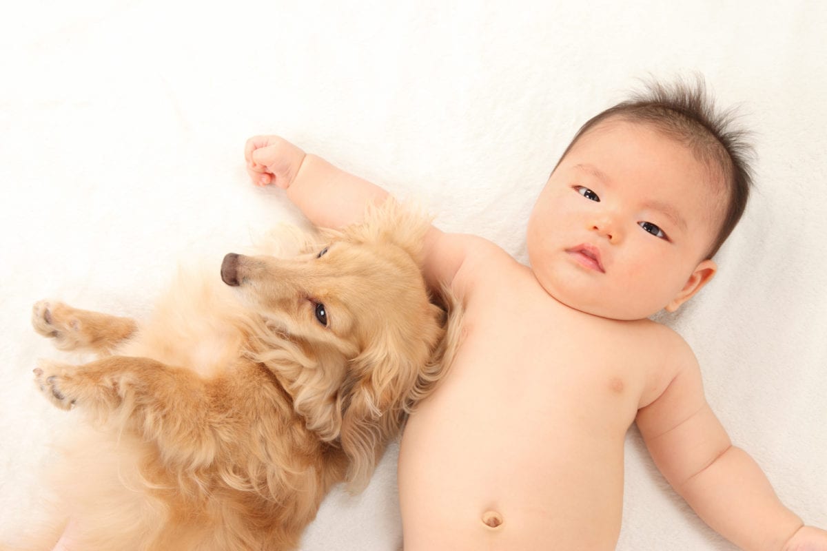 35 Baby Names for Animal Lovers