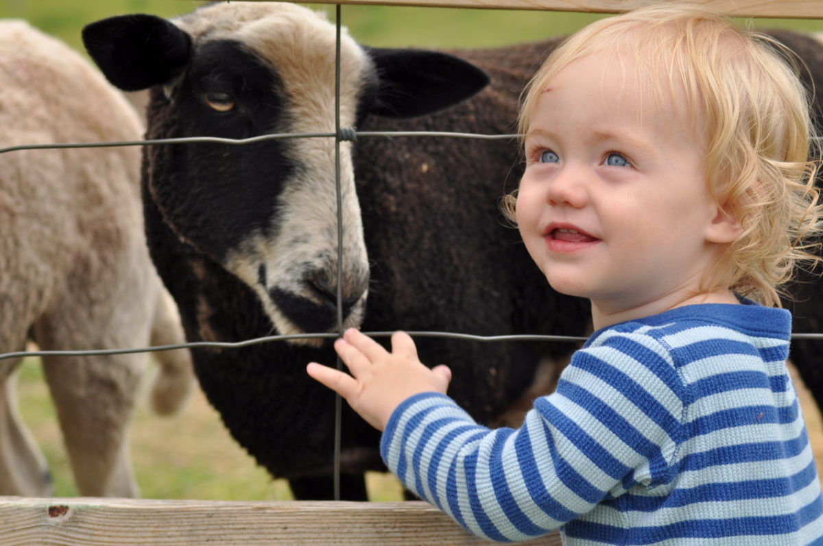 35 Baby Names for Animal Lovers