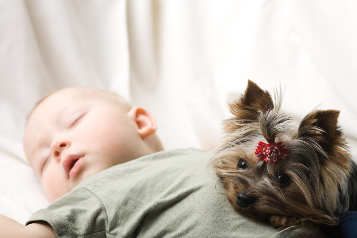 35 Baby Names for Animal Lovers