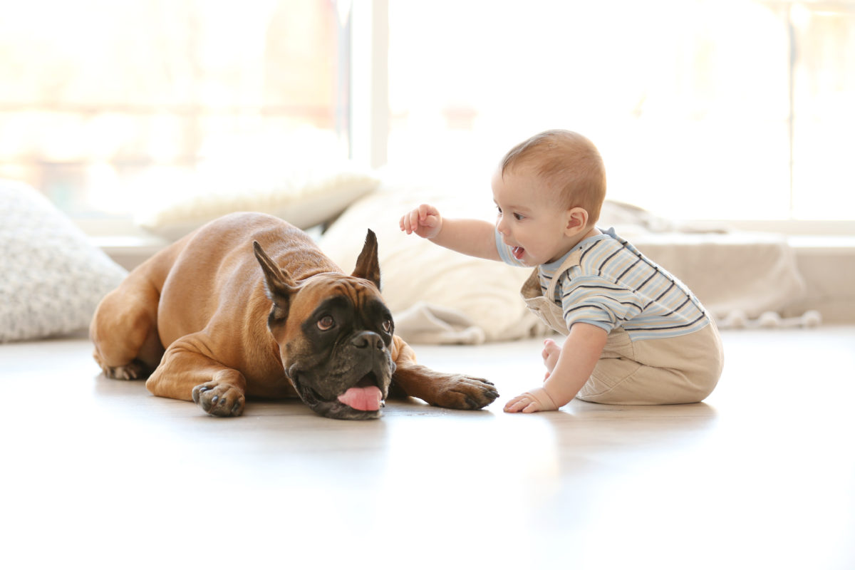 35 Baby Names for Animal Lovers