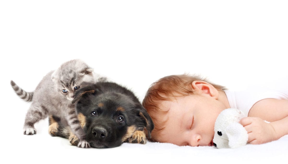 35 Baby Names for Animal Lovers