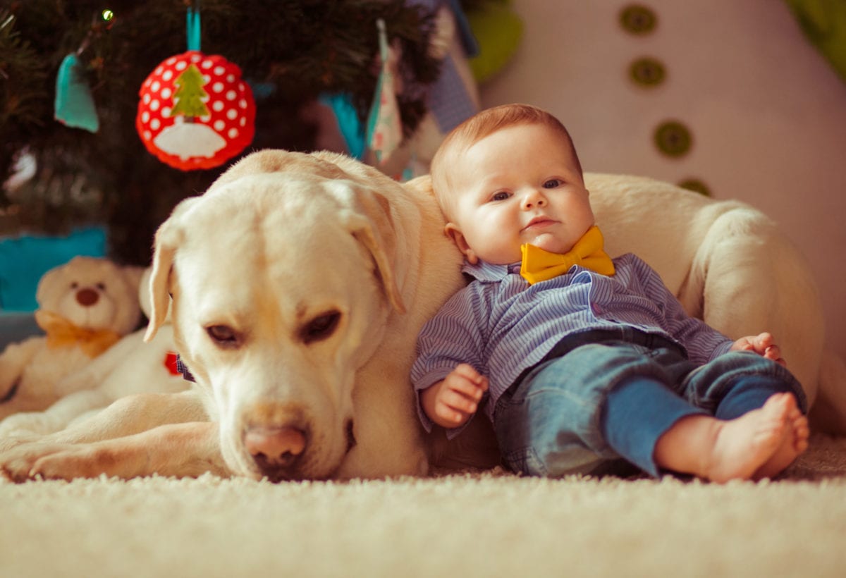 35 Baby Names for Animal Lovers