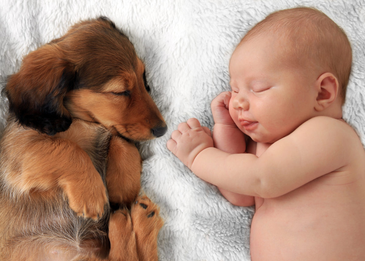 35 Baby Names for Animal Lovers