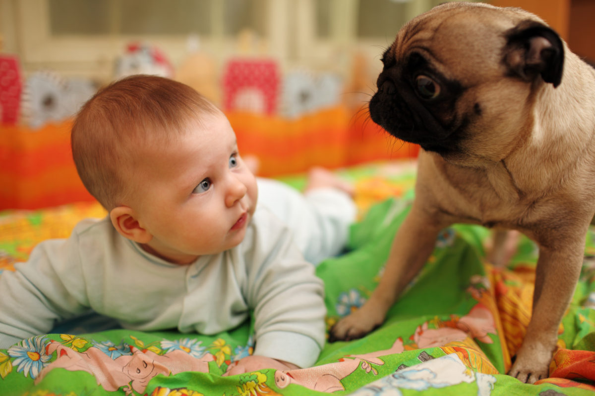 35 Baby Names for Animal Lovers