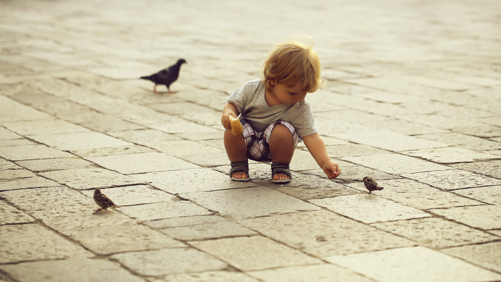 25 Soaring Baby Names for Bird Lovers