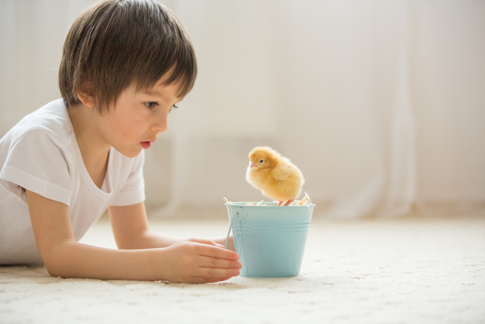 25 Soaring Baby Names for Bird Lovers