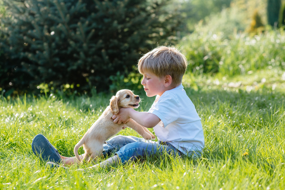 25 Swell Baby Names for Boys with Swedish Origins