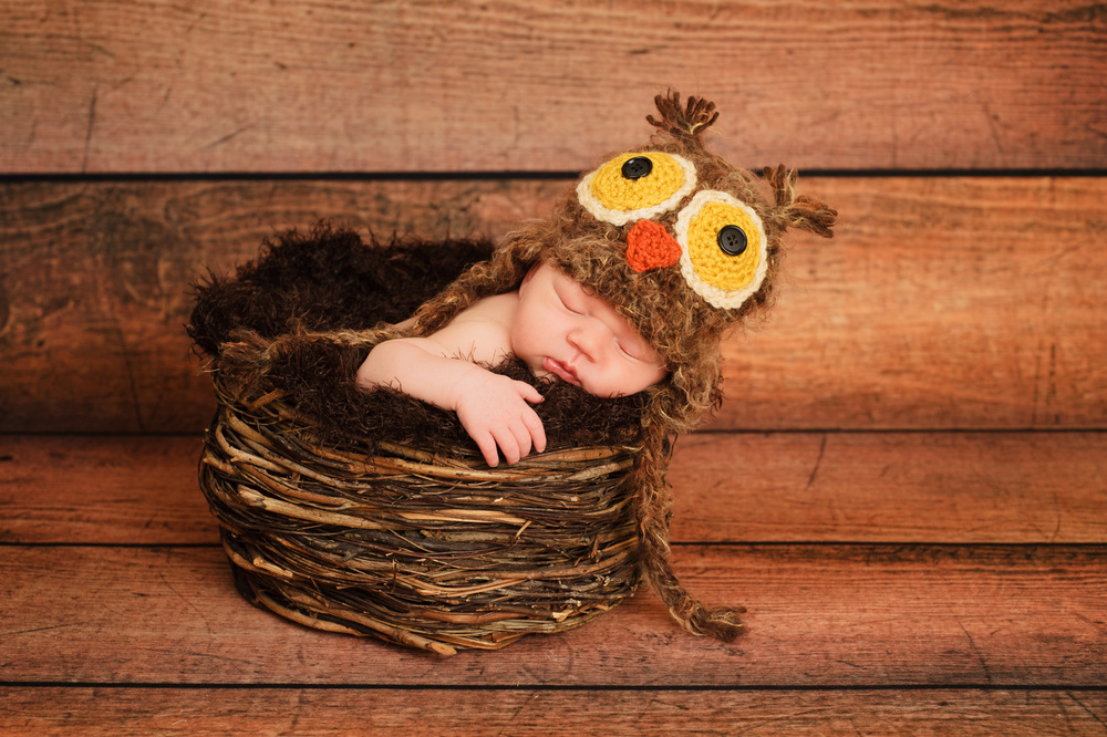 25 Soaring Baby Names for Bird Lovers