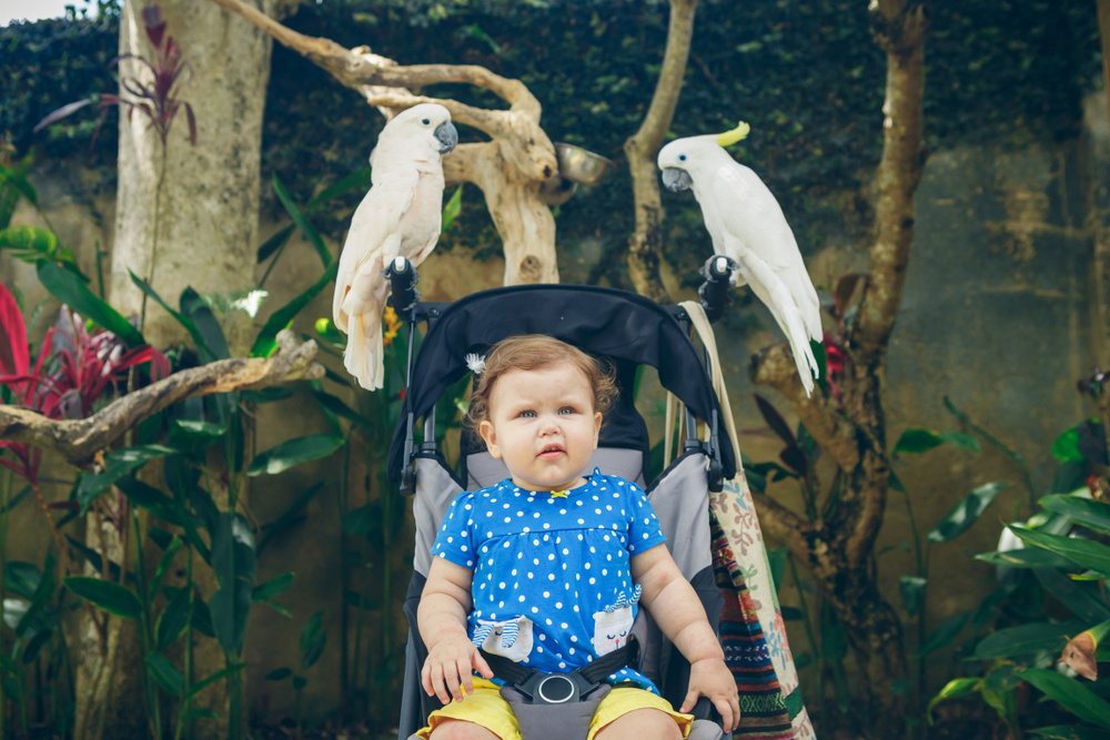 25 Soaring Baby Names for Bird Lovers