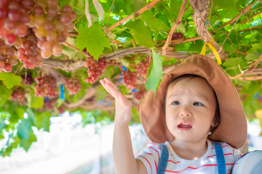 25 Bellissimo Baby Names with Italian Origins