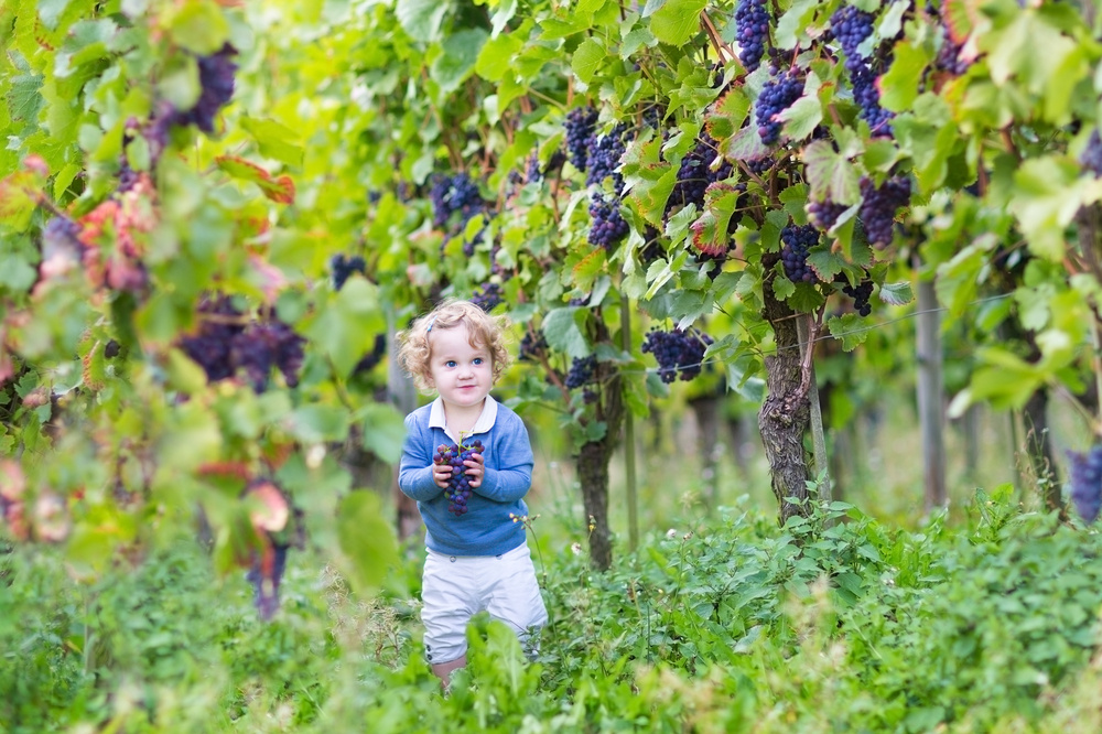 25 Latin Baby Names for Boys That Prove the 'Dead Language' Is Alive And Well