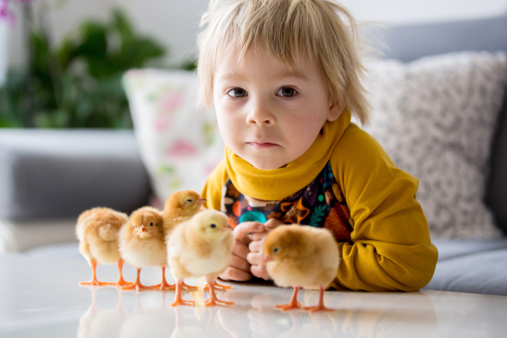 25 Soaring Baby Names for Bird Lovers