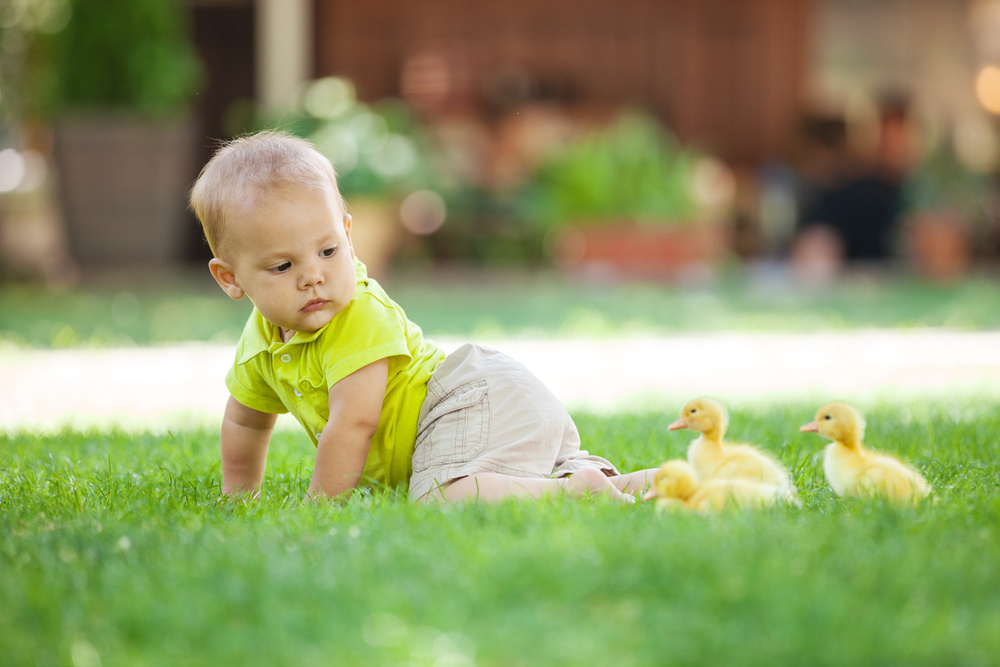 25 Soaring Baby Names for Bird Lovers