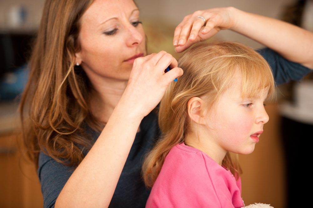 My Baby Came Home from Her Dad's with Lice: How Can I Get Rid of Them ASAP?