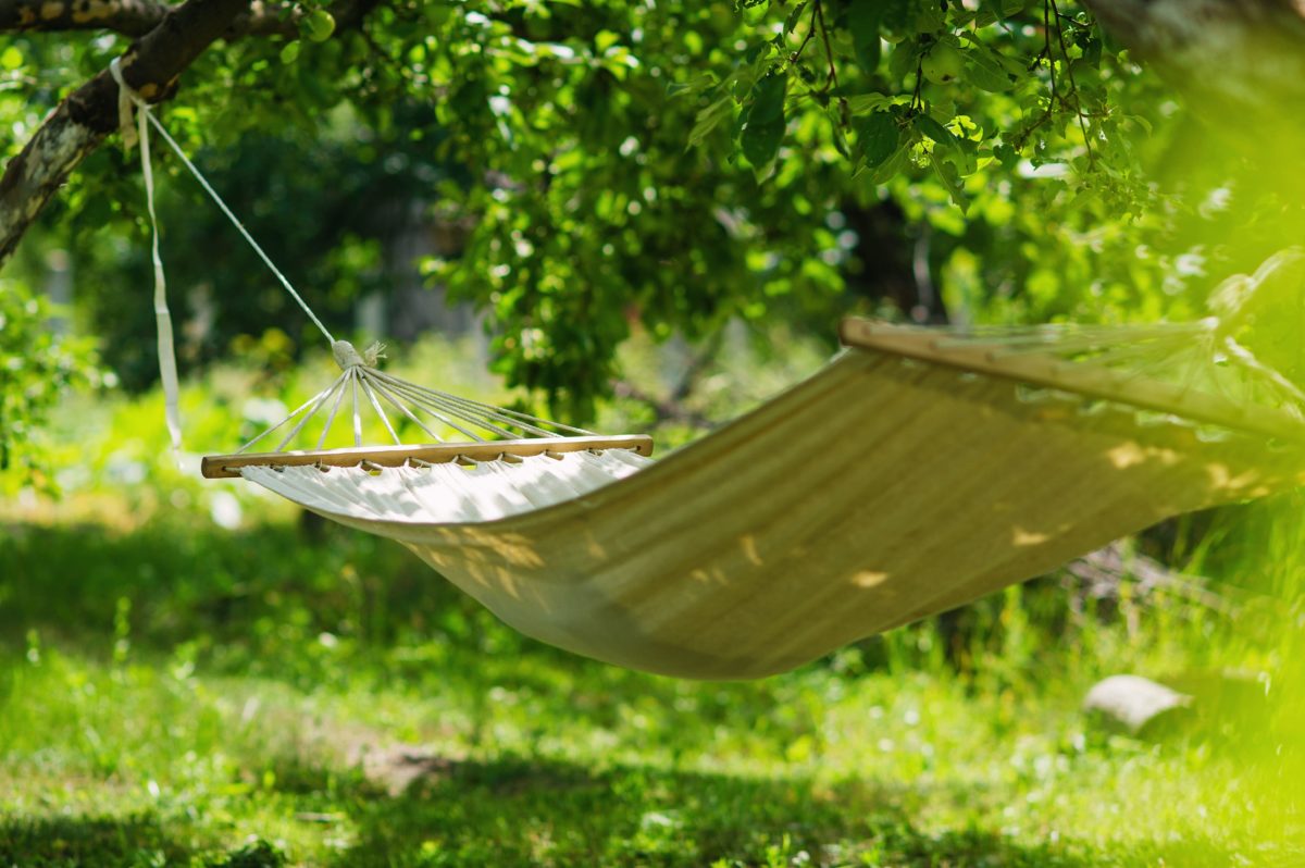 Ohio Sisters, 14 and 12, Killed in Horrific Hammock Collapse