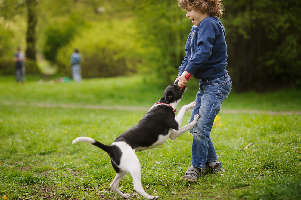 My Mom's Dog Bit My Son, and She Refuses to Do Anything About It: Advice?