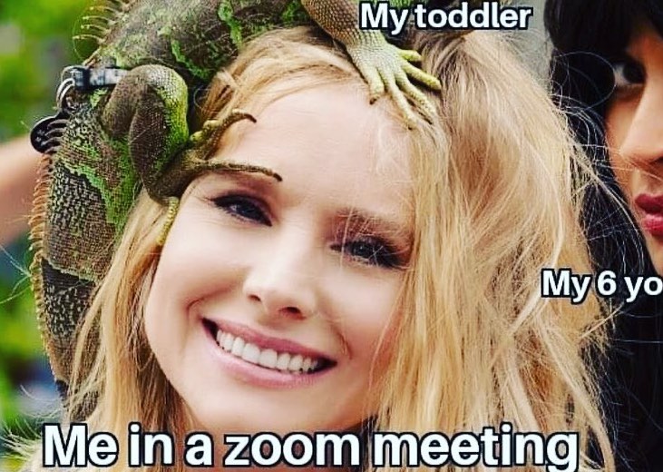 21 of the Funniest Zoom Memes to Help You Smile Through the Pandemic