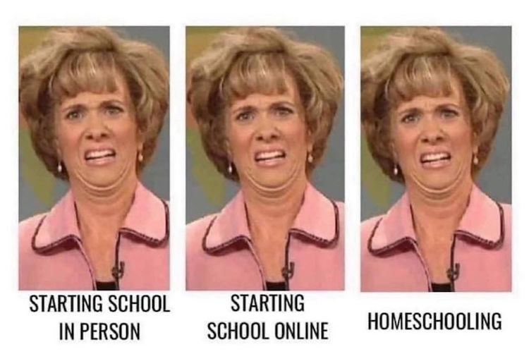 12 Funny Back to School Memes to Ease the Pain of a Rough 2020 School Year