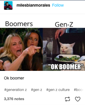 13 Very Funny 'OK Boomer' Memes That May or May Not Make You Feel Old | If you haven’t seen an OK Boomer meme, you probably haven’t been on the internet for the past couple of years. It all started when millennials and Gen-Z started poking fun at the baby boomer generation and taking them to task for misunderstanding their struggles.