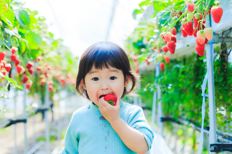 25 Flowery Names for Girls Inspired by Nature's Little Beauties