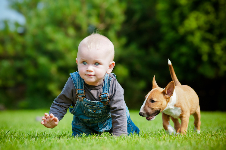 25 Rare Celtic Baby Names for Boys That Never Crossed the Pond