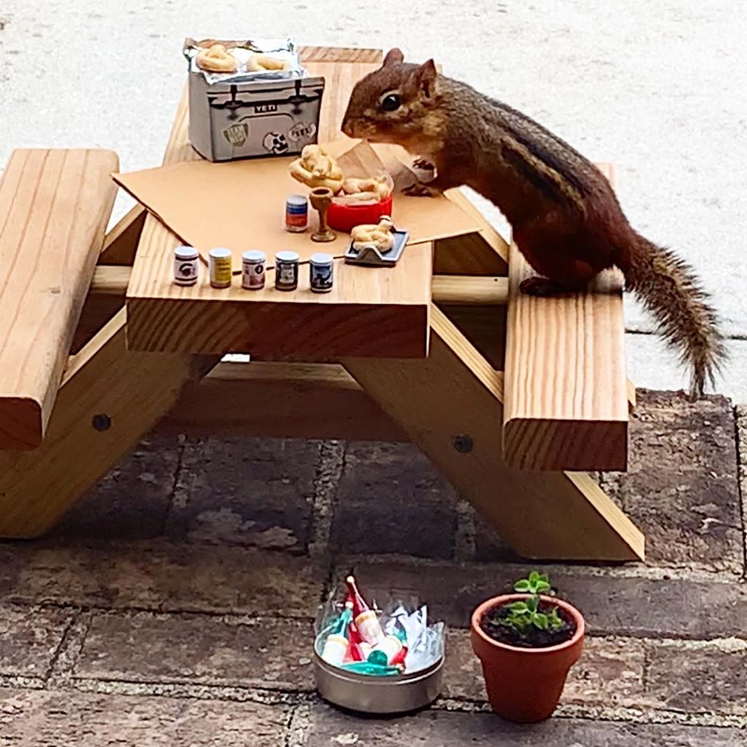 The restaurant for a chipmunk serving a flight of beer along with salt free mini pretzels