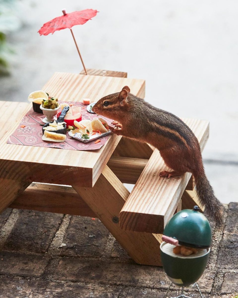 The restaurant for a chipmunk serving mini tacos, guacamole and a smoker for nuts