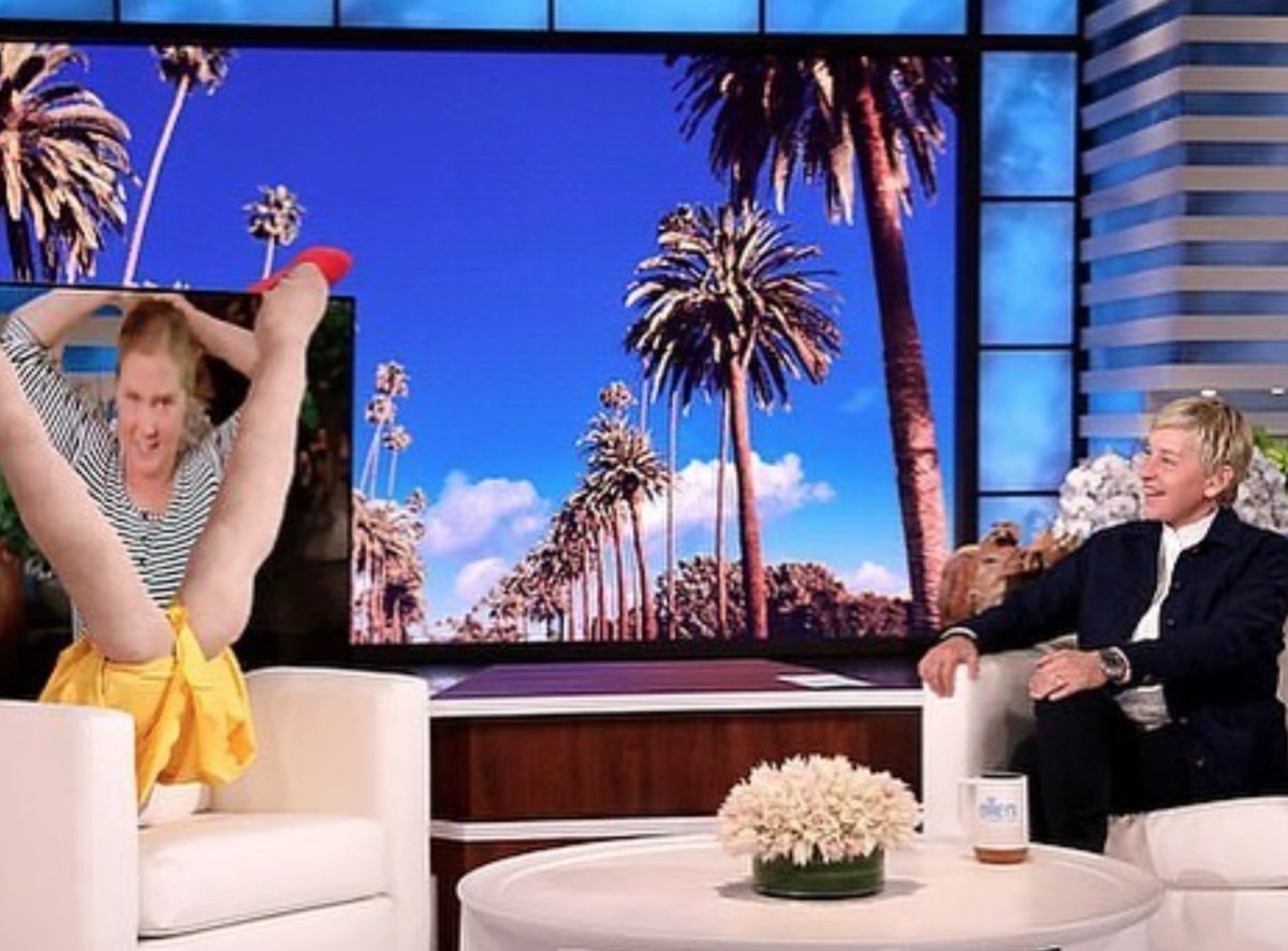 Amy Schumer's 16-Month-Old Crashes Interview With Ellen