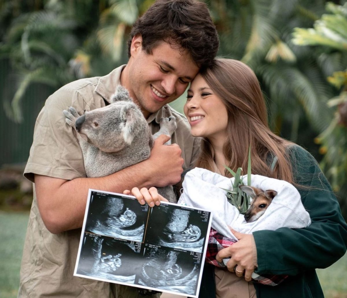 Bindi Irwin Reveals Very First Baby Bump Picture! 