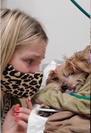 Kristen Bell and Daughters Say Goodbye to Beloved Family Dog Named Barbara 