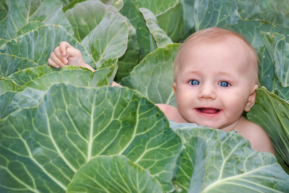 25 Baby Names for Boys Inspired by Brave Americans to Honor Veterans Day 