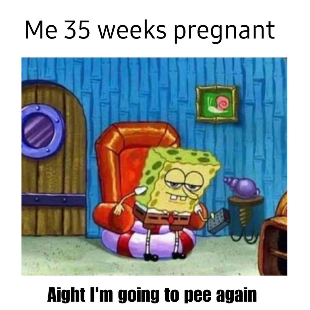  Funny Pregnancy Memes