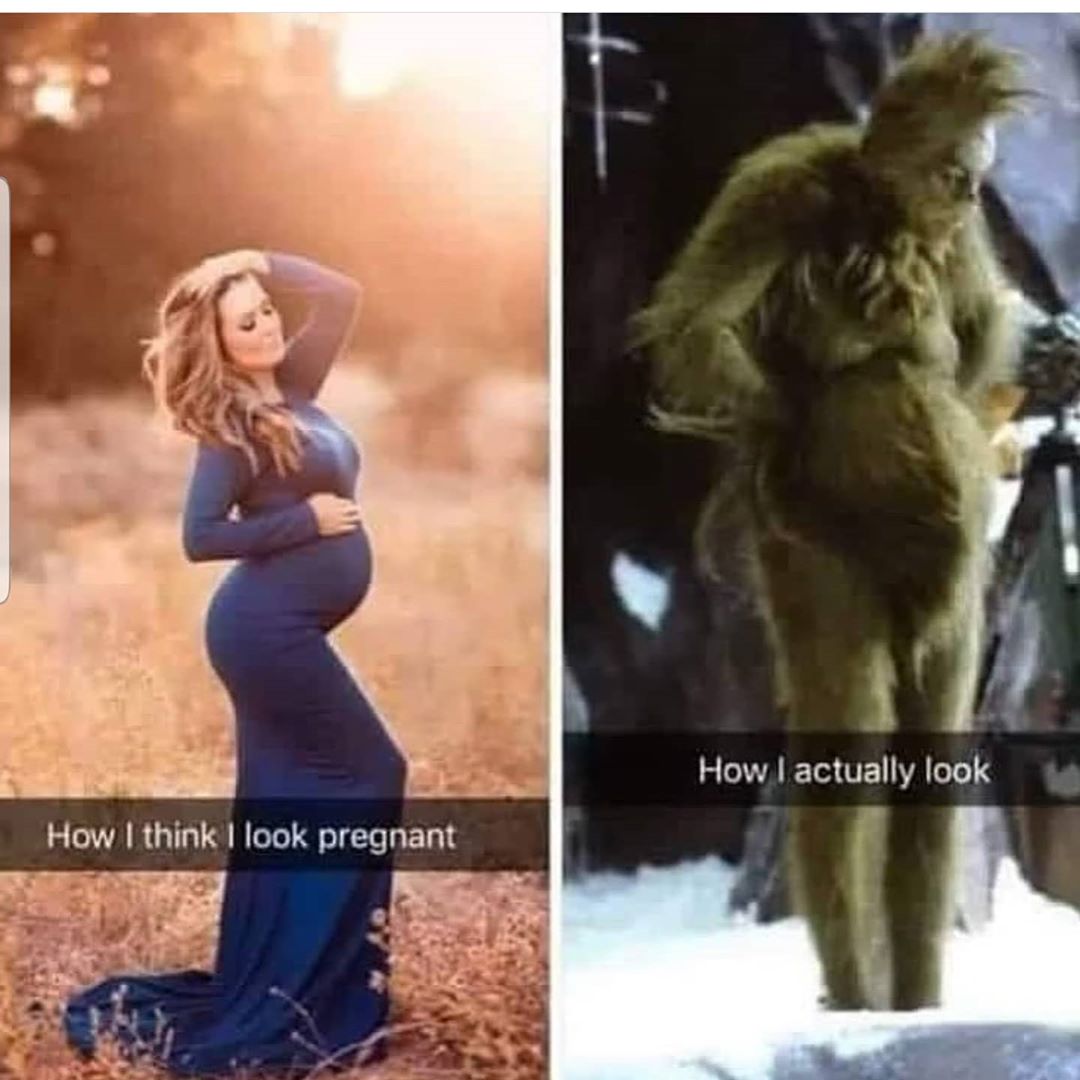  Funny Pregnancy Memes