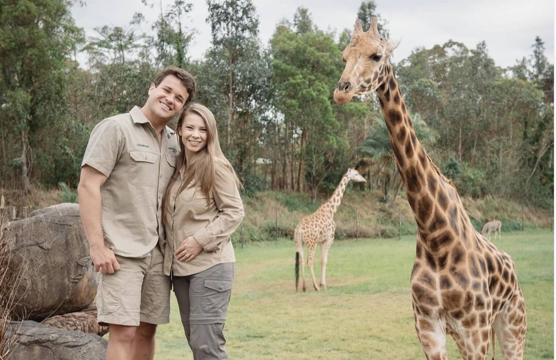 Bindi Irwin Celebrates the Halfway Mark in Her Pregnancy