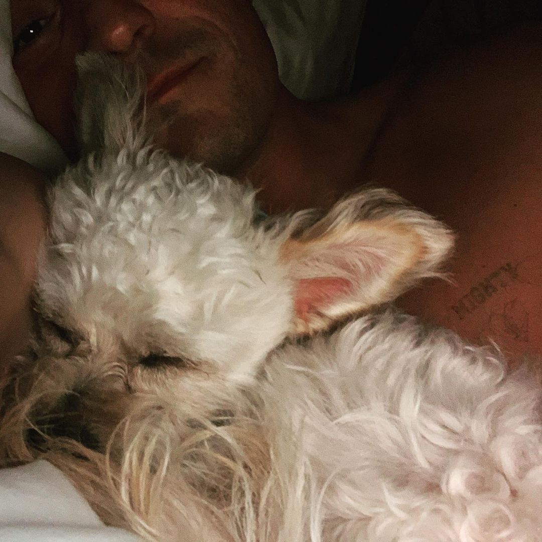 Meet Orlando Bloom's New Foster Dog, Buddy