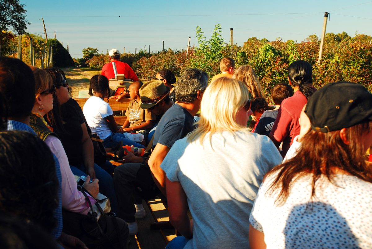 Mother Of 3 Dead, 17 People Injured From Overturned Hayride 