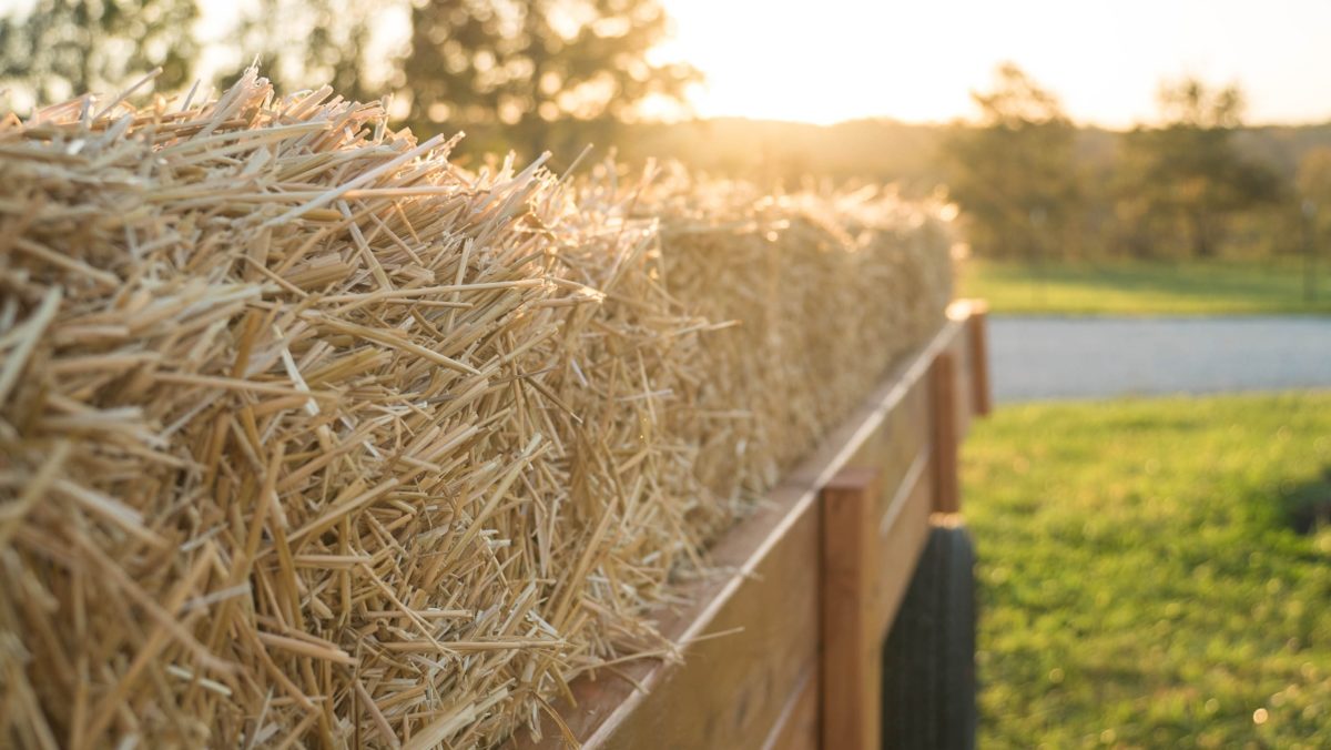 Mother Of 3 Dead, 17 People Injured From Overturned Hayride 