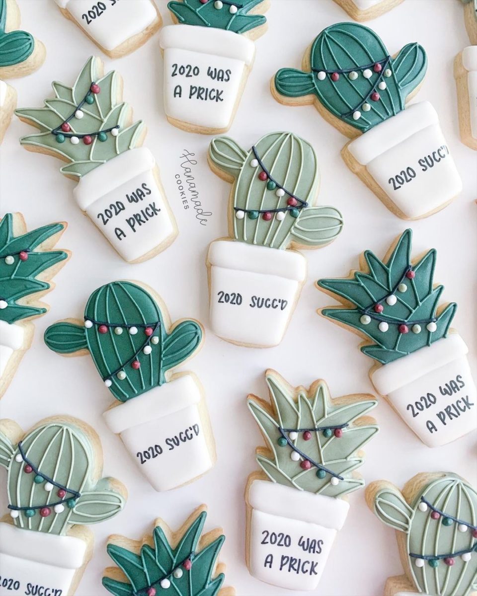 2020 is Perfectly Summed Up in These 31 Hilarious Cookies