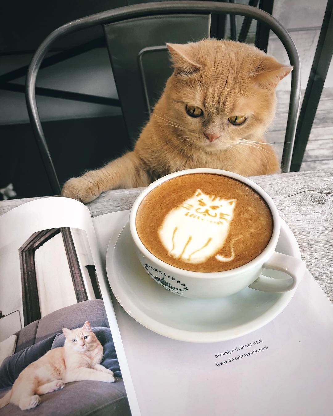 The 25 Most Adorable Latte Art Designs That You Will Ever See