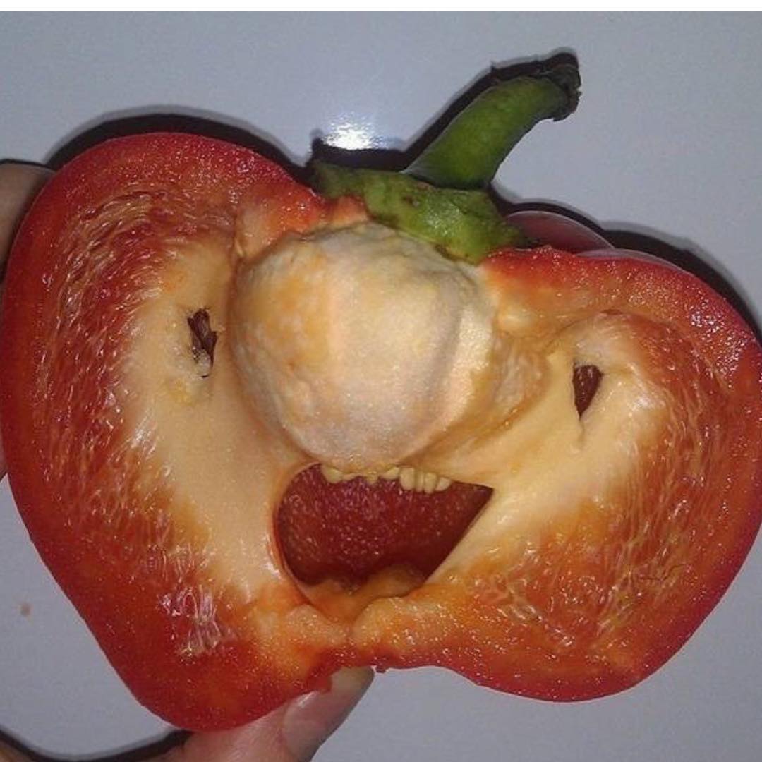 25 of the Wackiest Images Amy Sedaris Has Shared on Her Delightfully Weird Instagram Feed