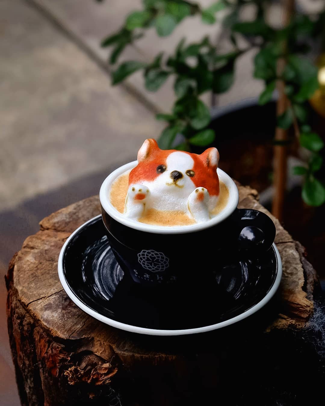 The 25 Most Adorable Latte Art Designs That You Will Ever See