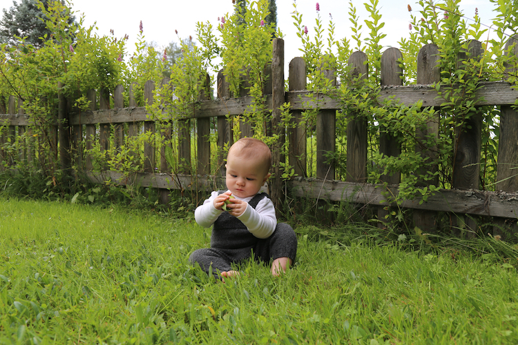 25 Delightful Dutch Baby Names for Boys