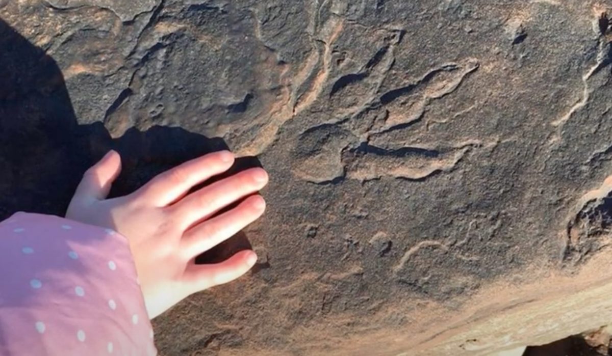 4-Year-Old Finds 220 Million-Year-Old Dinosaur Footprint