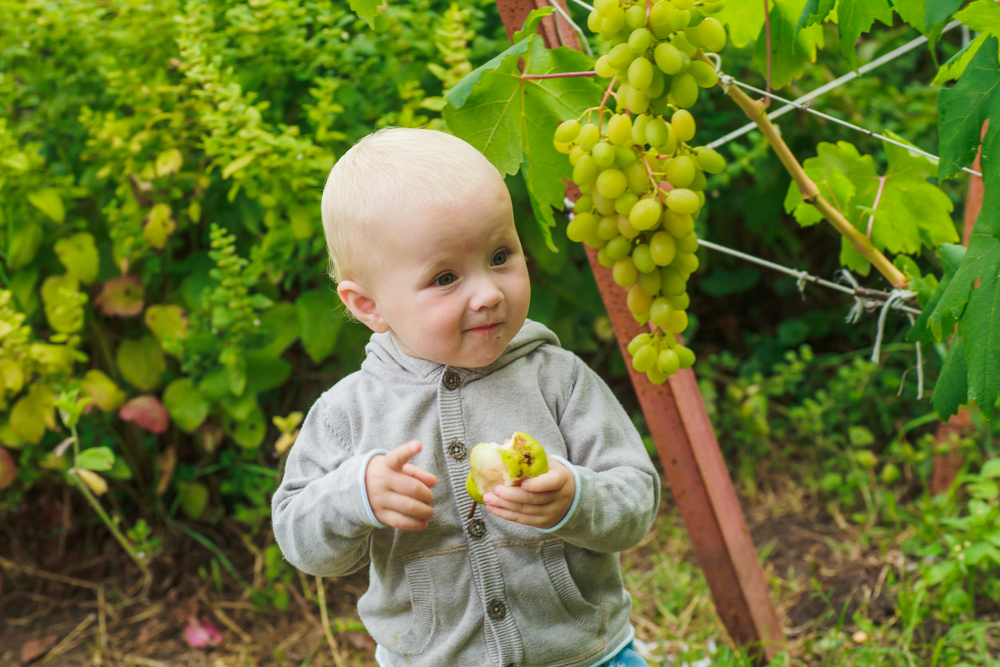 25 Popular Baby Names for Boys in France Today That Chic American Parents Should Try